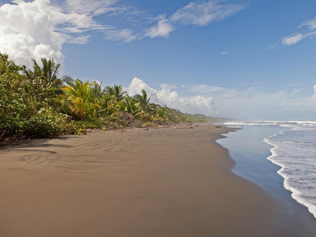 Hotel Caribbean Coconut Cahuita Ngoại thất bức ảnh