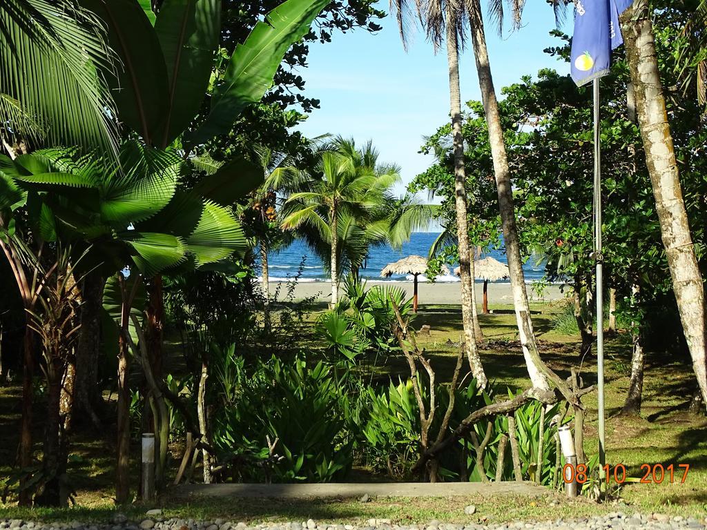 Hotel Caribbean Coconut Cahuita Ngoại thất bức ảnh